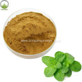 Natural Peppermint Leaves Extract Powder